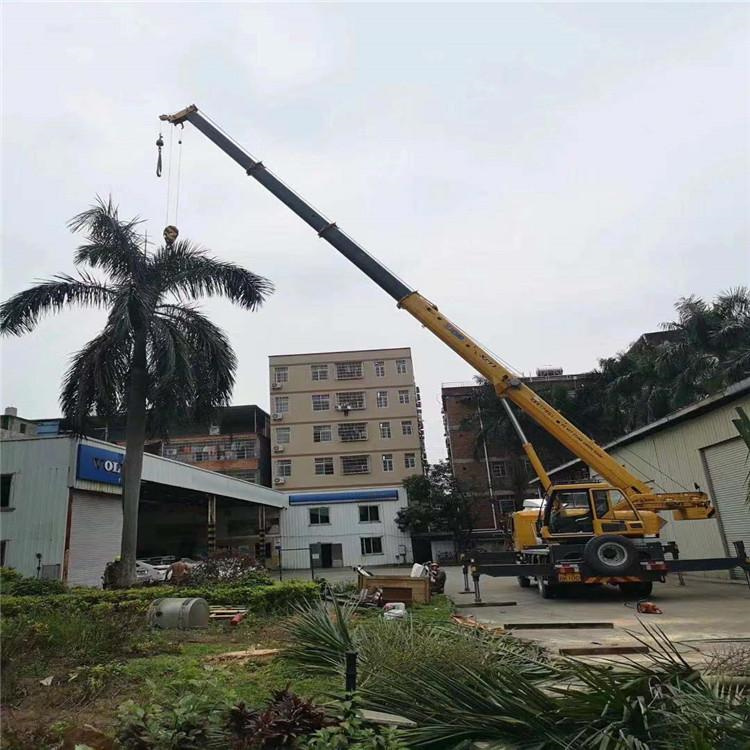 抚宁县汽车吊出租多少钱？全面解析与市场行情